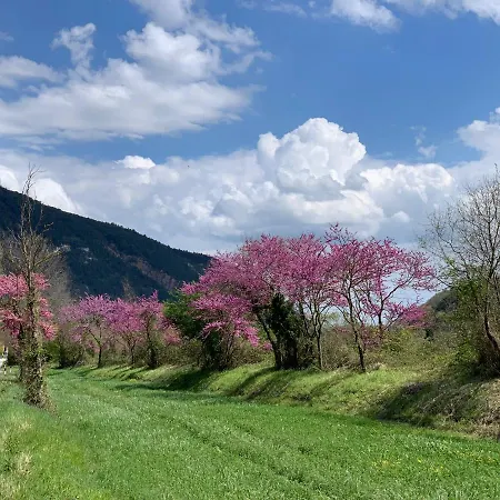 La Forestale Luxury Primo Piano