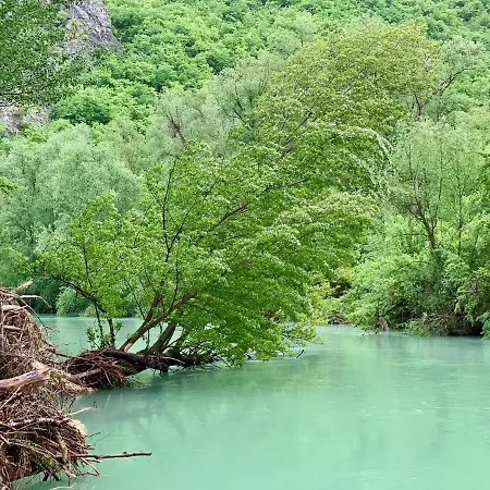La Forestale Luxury Primo Piano Акваланга