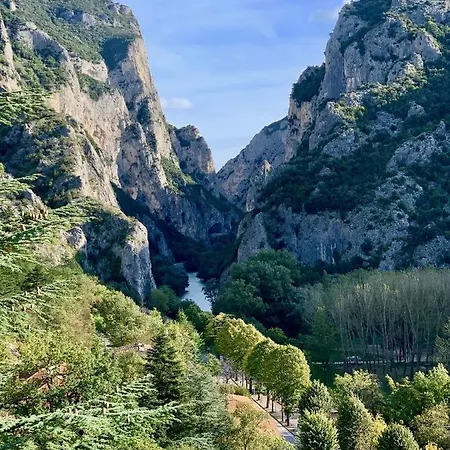 La Forestale Luxury Primo Piano Acqualagna