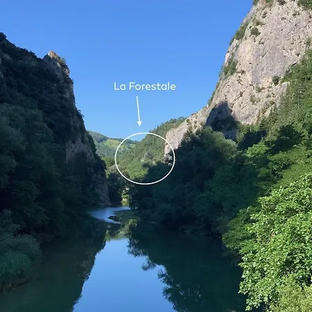 La Forestale Luxury Primo Piano Acqualagna