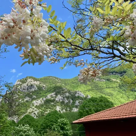 La Forestale Luxury Primo Piano