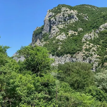 La Forestale Luxury Primo Piano 4*