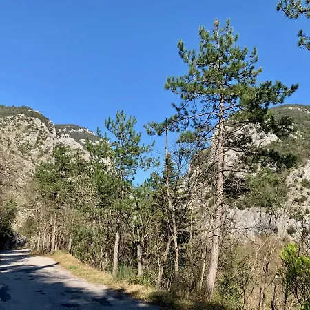 La Forestale Luxury Primo Piano 4*