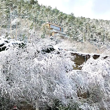 La Forestale Luxury Primo Piano فندق مبيت وإفطار