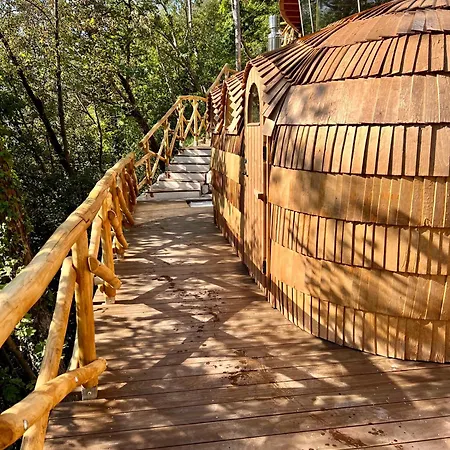 La Forestale Luxury Primo Piano Bed & Breakfast
