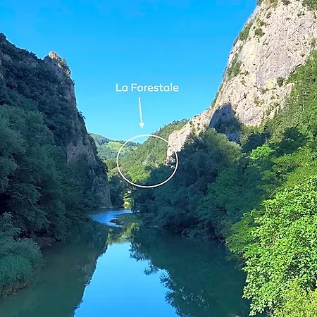 La Forestale Luxury Primo Piano Acqualagna