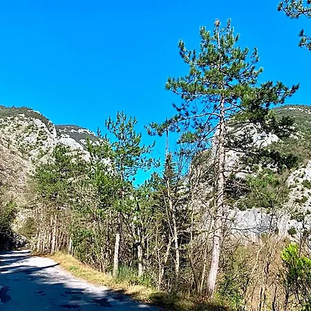Alojamento de Acomodação e Pequeno-almoço La Forestale Luxury Primo Piano