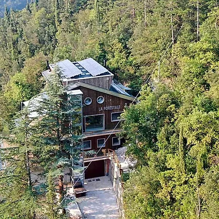 La Forestale Luxury Primo Piano Alojamento de Acomodação e Pequeno-almoço Acqualagna