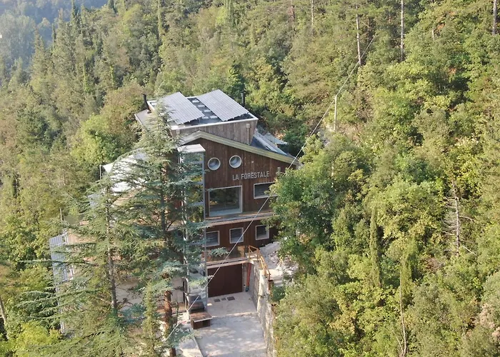 Bed and Breakfast La Forestale Luxury Primo Piano Acqualagna