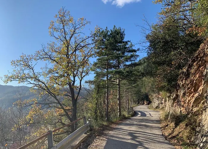 La Forestale Luxury Primo Piano 4* Acqualagna