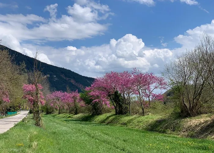 La Forestale Luxury Primo Piano