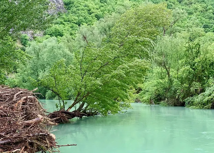 La Forestale Luxury Primo Piano Acqualagna