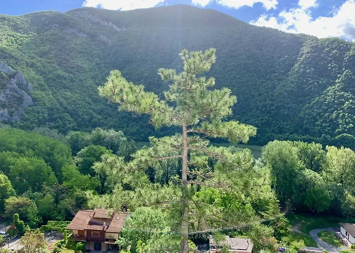 Bed and Breakfast La Forestale Luxury Primo Piano