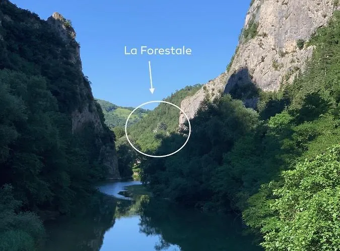 La Forestale Luxury Primo Piano Acqualagna