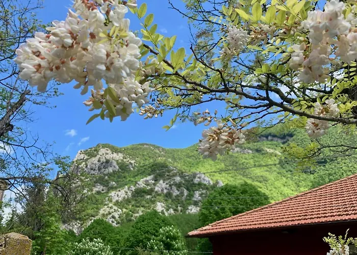 La Forestale Luxury Primo Piano