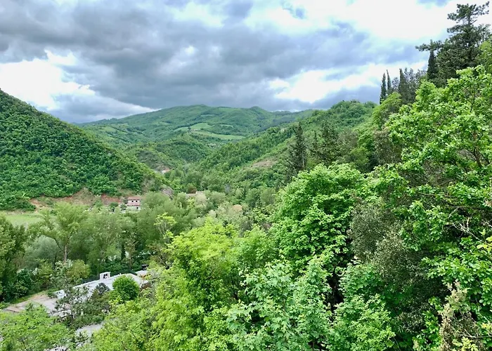 La Forestale Luxury Primo Piano 4* Acqualagna