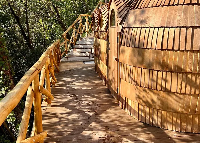 La Forestale Luxury Primo Piano Bed and Breakfast